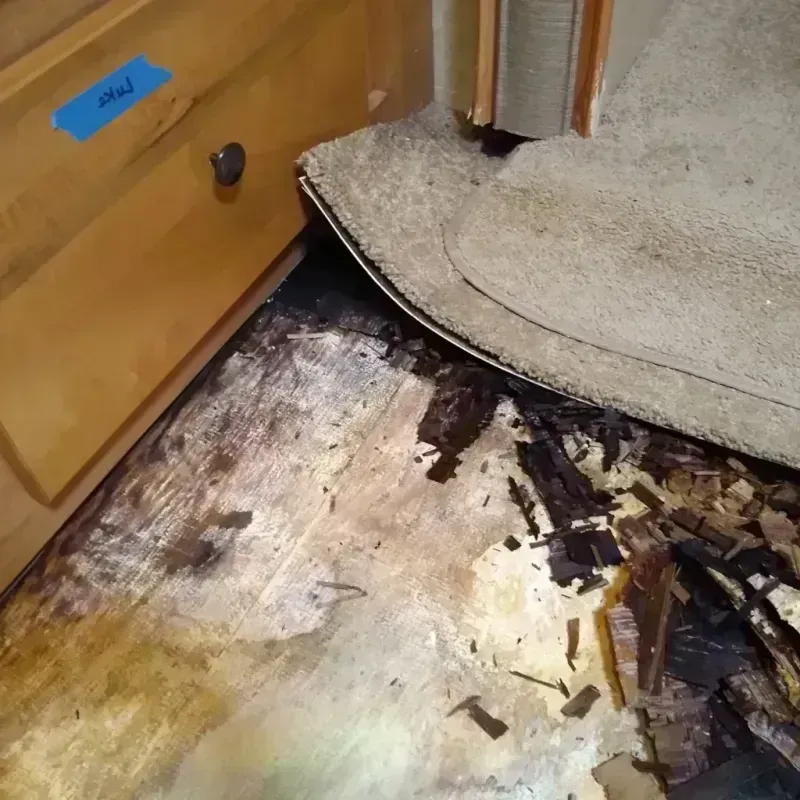 Wood Floor Water Damage in Barber County, KS